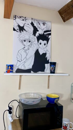 Tableau Hunter x Hunter photo review